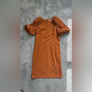 Calvin Klein Rust Puff-Sleeve Midi Dress